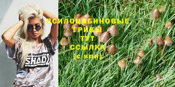 молекула духа Магас
