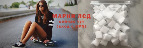прущие грибы Бронницы
