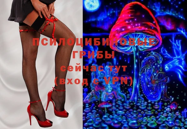 молекула духа Магас