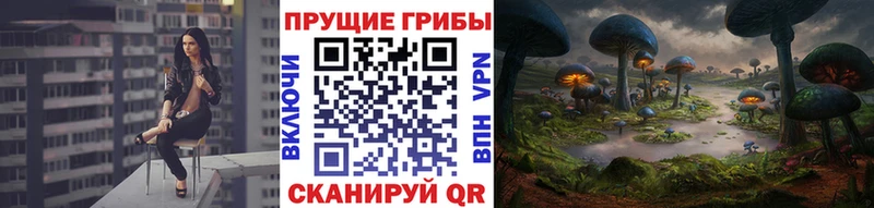 Галлюциногенные грибы Magic Shrooms  где купить   Ревда 