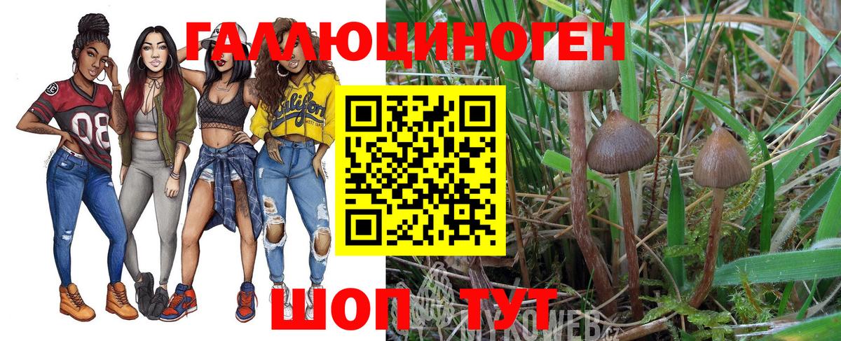 Псилоцибиновые грибы Psilocybine cubensis  Вход с VPN  Ревда 